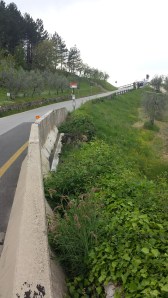 Sopra Fiesole, fermata Colombaiolo