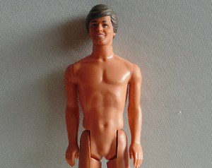 Un esemplare di Ken, ritratto in tutta la sua virilità