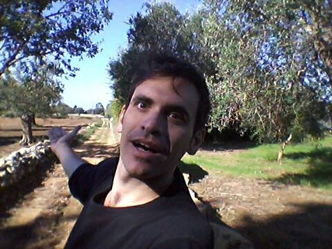 nicola la gioia tra gli olivi