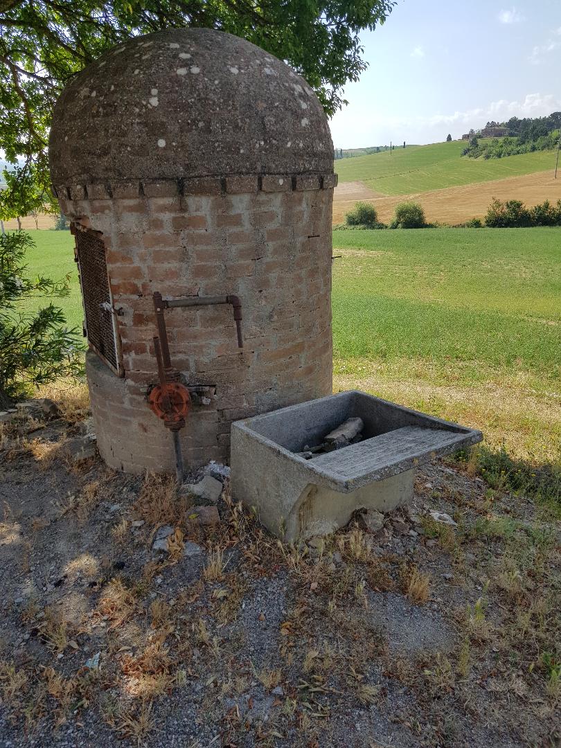 Quinciano